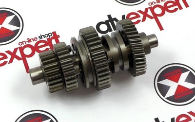 Triton Original OEM SPRING GEAR TRITON ACCESS BAJA OUTBACK BLACK LIZARD 250 300 400 