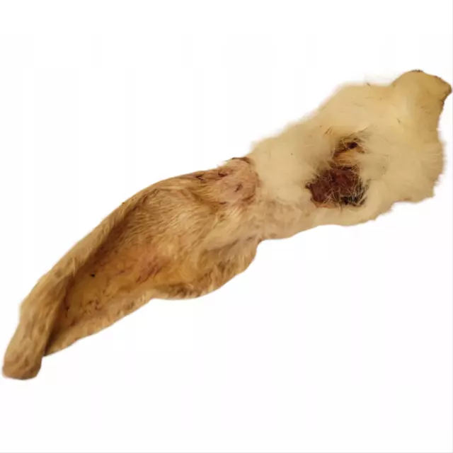 Kaninchenohren mit Fell und ohne Fell Kauartikel für Hunde Leckerli hypoallergen 2