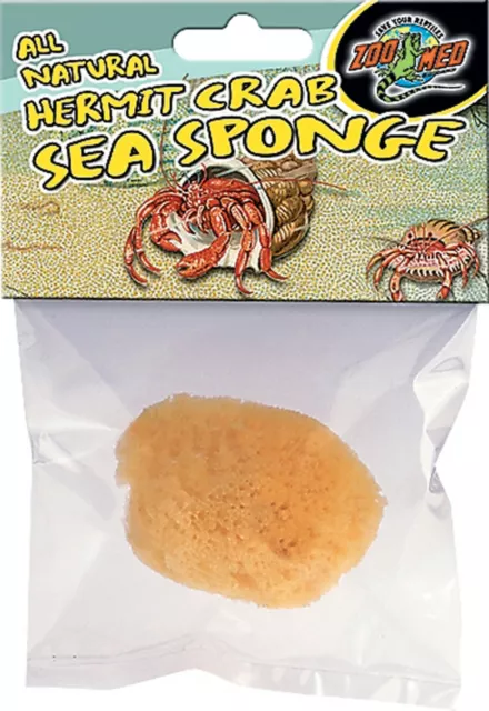 Florida Marine Research 3-Pack Natural Small Animal Hermit Crab Sponge – TK  Aquatics