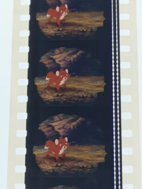 The Fox and the Hound 35mm Film Cell Cinema Trailer Frame Disney Movie Cel 1981