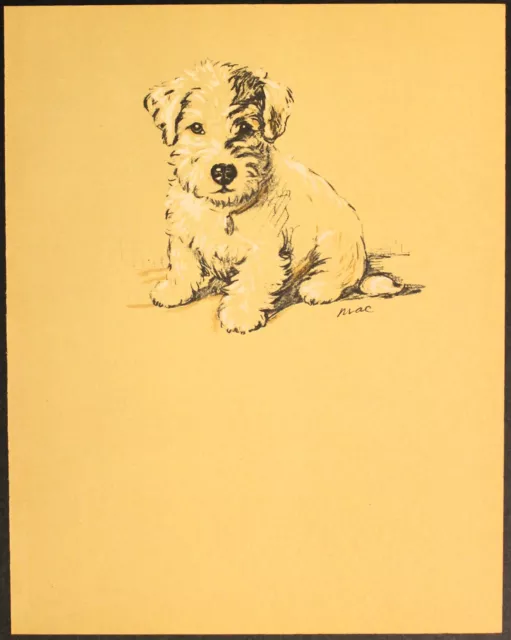 "ALBERT" SEALYHAM TERRIER PUPPY Antique Vintage Lucy Dawson dog print 1937