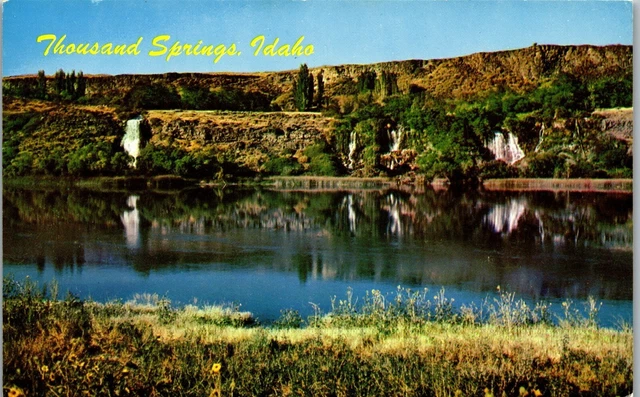 Vintage Idaho ID Postcard Thousand Springs Wall of Water Snake River