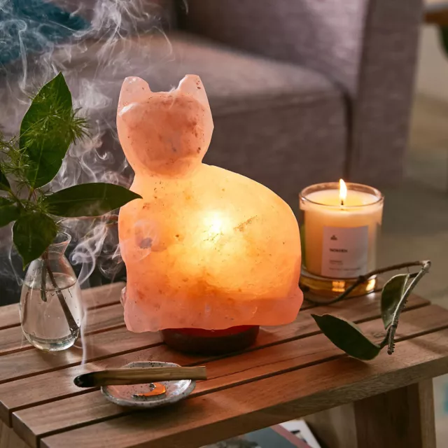 3Kg Natural Himalayan Salt Lamp Healing Ionizing Pink Rock Crystal CAT LAMP Gift