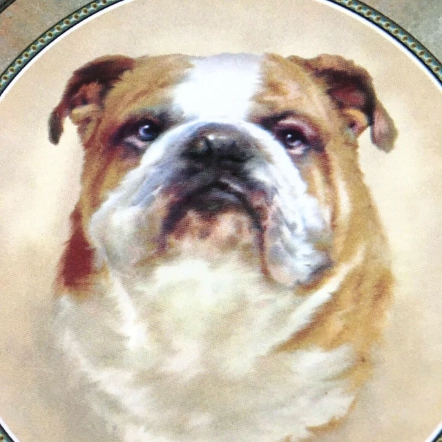 Tile Trivet English Bulldog New Handmade Ceramic Porcelain 6" x 6" Kiln Fired 2