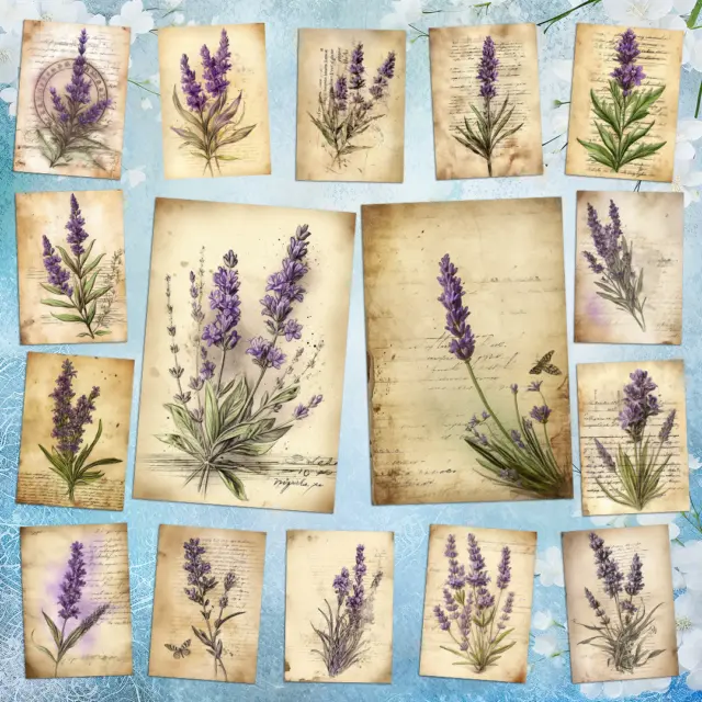 Set Of 16 Lavender Wild Flowers Vintage Postcards Cards + 16 Envelopes + Gift