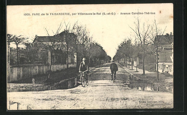 CPA VILLENEUVELEROI, PARC de la Faisanderie, Avenue