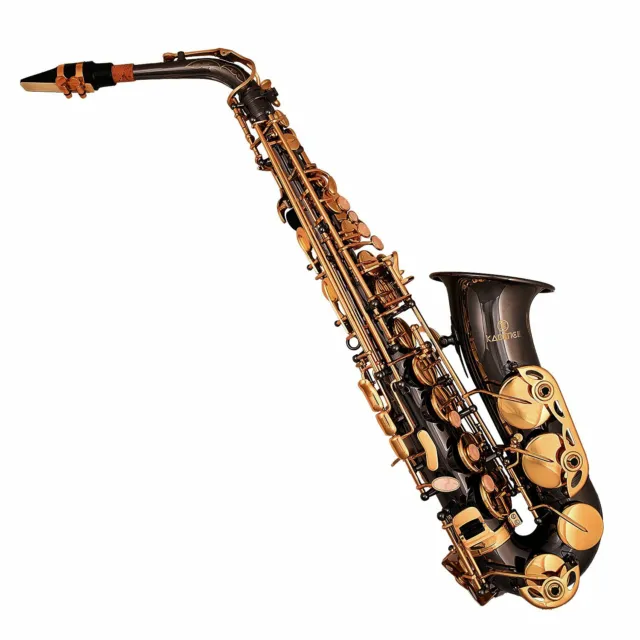 Alto Saxophone avec Étui World Catégorie Finition Avec Roseau Et Étui