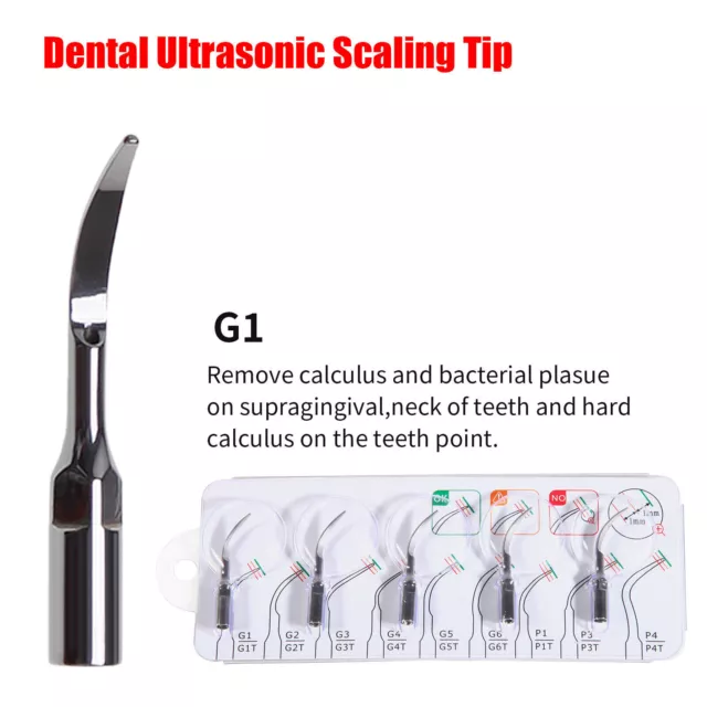 5 Dental Piezo Ultraschall Skalierer Spitze passend für EMS Specht Handstück G1 USA LAGER