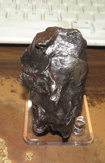 276 GM. Egypt Gebel Kamil Iron meteorite complete individual W/ STAND; RARE;