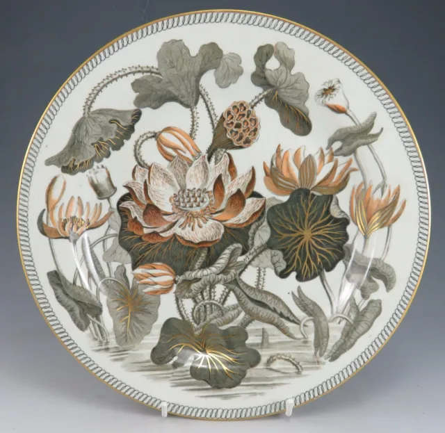 ANTIQUE POTTERY PEARLWARE Brown Transfer Wedgwood Darwin Water Lily ...