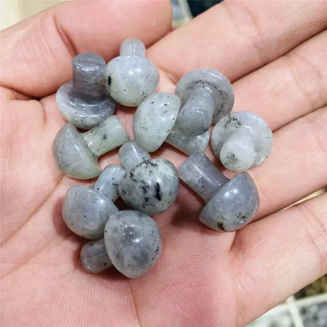 Natural Tianshan Blue Gemstone Quartz Crystal Carved Mushroom Decor Energy Reiki