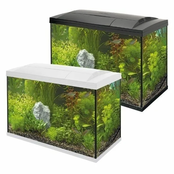 SuperFish Start Aquarium 30 50 70 Tropical Glass Fish Tank Kit Black or White 7