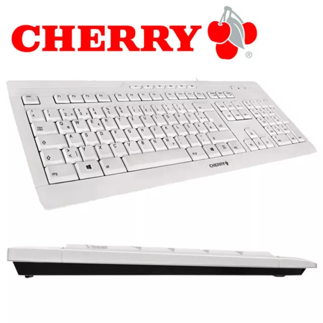 Clavier multimédia PC PC ordinateur clavier USB gris blanc allemand