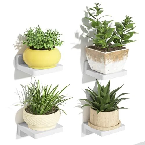 Mini Floating Shelves Wall Mounted, 4 Inches Wood Shelf for Home Washed White