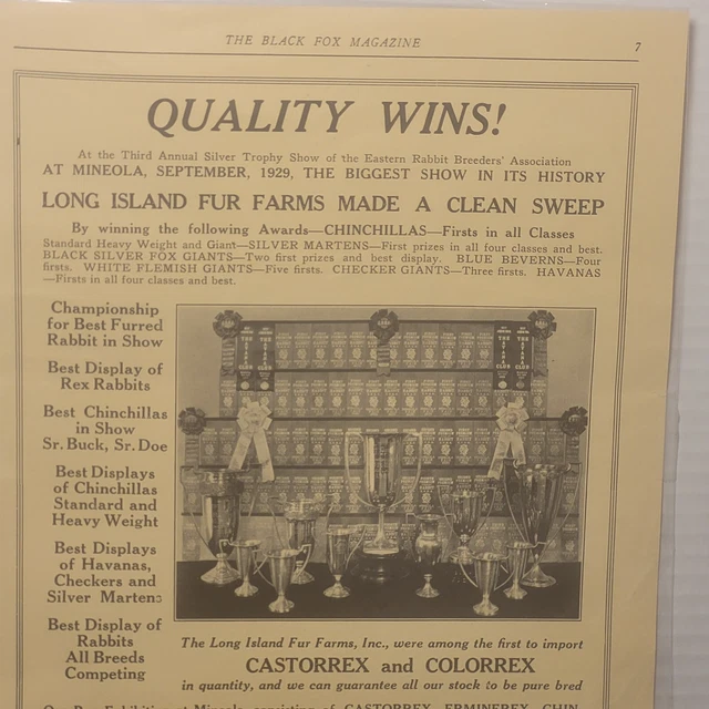 REX CASTORREX COLORREX Rabbit/Chinchilla/Havanna/Silver Marten Ad Long