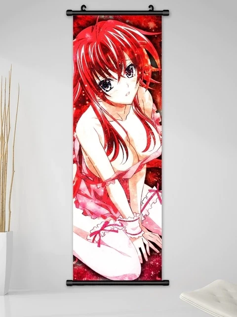 High School DXD Anime Premium POSTER MADE IN USA - HSD003