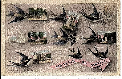 (S-76904) FRANCE - 95 - NOINTEL CPA      E.L.D.  ed.