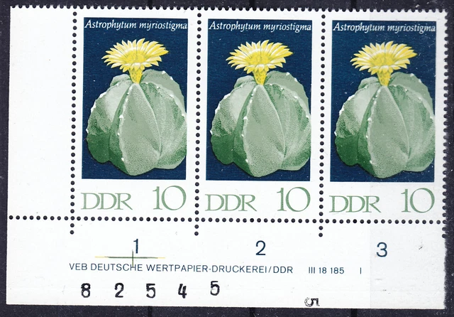 Briefmarken DDR Mi Nr. 1626 Kakteen I BZN DZ Druckvermerk DV DWD I **
