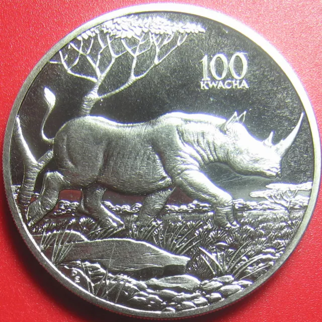 1998 ZAMBIA 100 KWACHA RHINOCEROS RHINO AFRICAN WILDLIFE RARE! CU-NI (no silver)