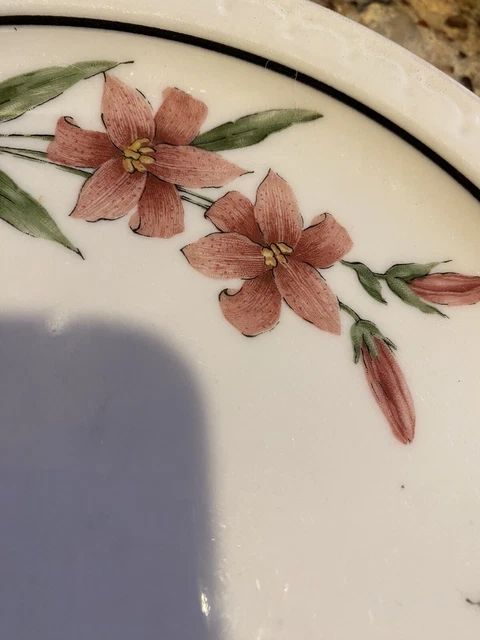 Southern Pacific RR PRAIRIE MOUNTAIN WILDFLOWERS Syracuse china Railroad 2