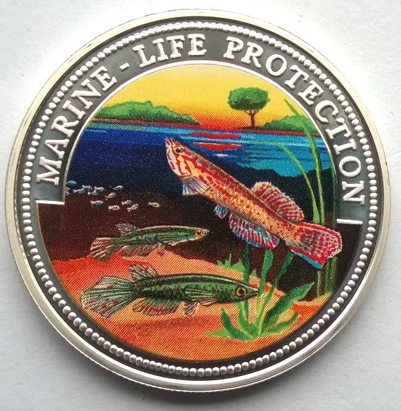 Somalia 1999 Flying Fish 25 Shillings Silver Coin,Proof