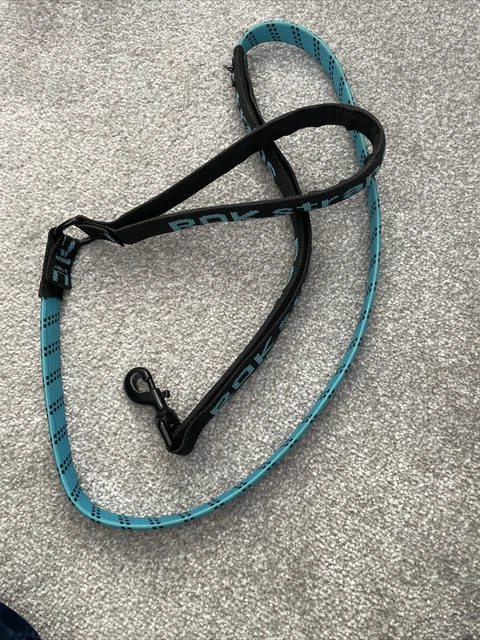Rok Straps Dog Lead