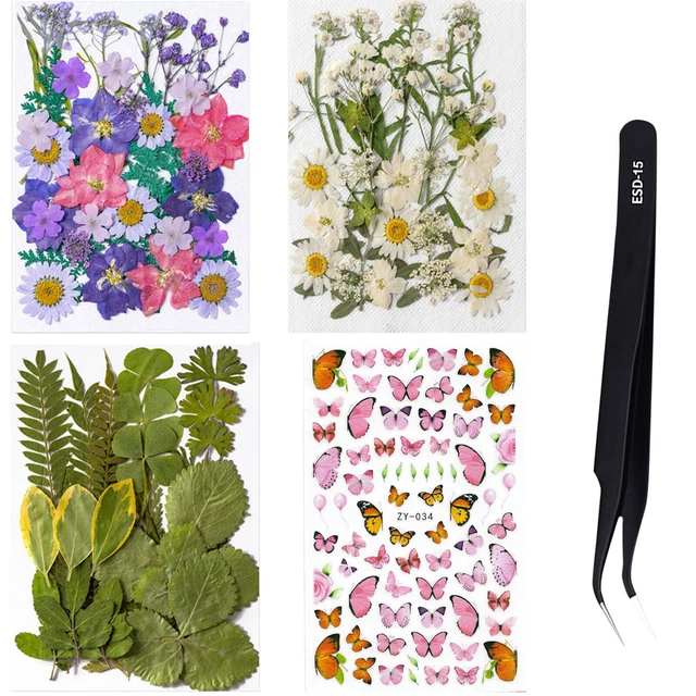 Real Pressed Dry Plants Kit - DIY Handmade Handicrafts for Resin Phone Cases FS2