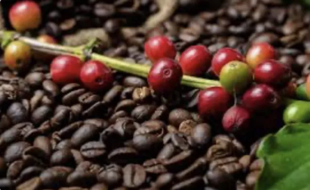 2, 5, 10 Lb Papua New Guinea Fresh Roasted Coffee Whole Bean, Ground - Arabica 3