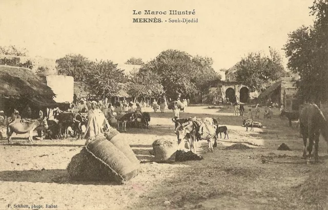 Africa Postcard Morocco Meknes Souk-Djedid