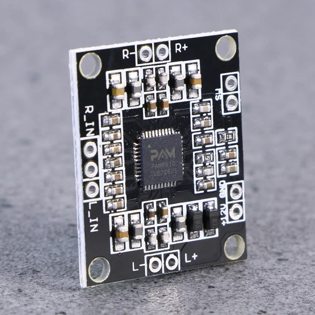 DollaTek Mini scheda amplificatore digitale classe D Amplificatore di potenza audio mono da 5 W