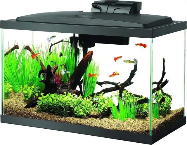 Aquarium Fish Tank Starter Kit with LED Lighting 10 Gallon Fish Tank