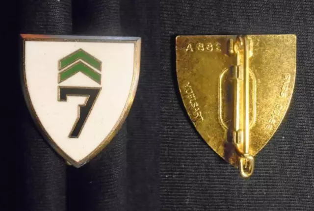 Insigne Militaire – 7° Escadre De Chasse - Saint Dizier - Delsart - A 882