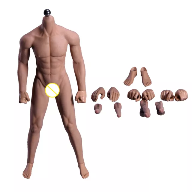 1/6 Scale Seamless Stainless Steel Male Muscular Body Action Figure  27cm #3