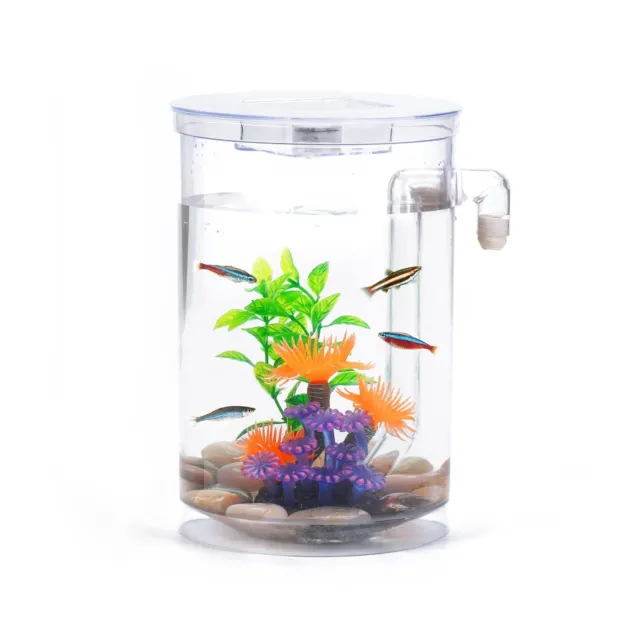 Betta Fish Tank, 360 Aquarium with LED Light, 1 Gallon Fish Bowl, Small Fish ...
