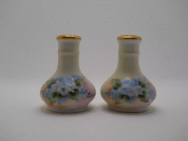 VTG Ceramic Floral Hand Painted Salt & Pepper Shakers signed