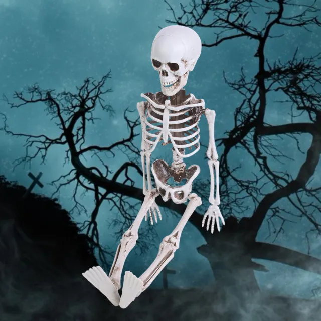 Halloween Horrible Chamber Theme Party Prop Realistic Human Skeleton Decoration