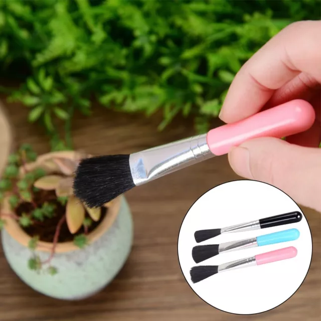 Brosse de nettoyage succulente pour soins des plantes vierge pour enlever la pou