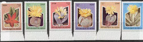 Benin 1997 Cacti/Flowers/Plants 6v set ref:b8256