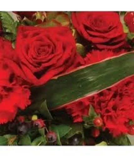 20+ Rouge Lisianthus Semences Florales/ Eustoma/ Annual/ Super Cut Fleur/Cadeau