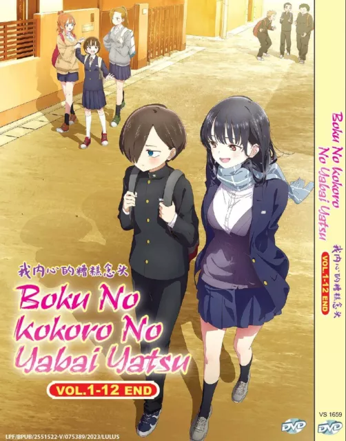 DVD Anime Koi Wa Sekai Seifuku No Ato DE Complete Series (1-12 End) English  Dub