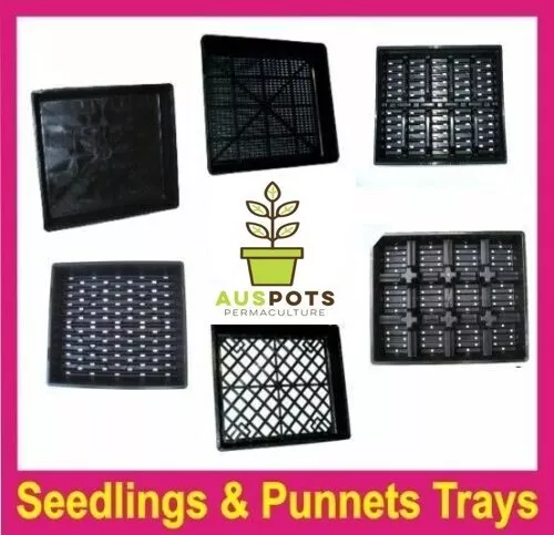 Hydro / Seeding / Punnet Tray -Plant Propagation, Seedling, Garden, Hydroponic