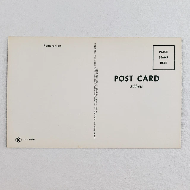 Pomeranian Dogs Crystal Falls Postcard 1970s Michigan Spitz Vintage Pets MI A969 5