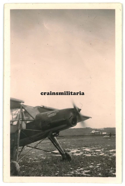 Orig. Foto Fieseler Fi 156 Storch Flugzeug m. Wappen b. BRJANSK Russland 1941