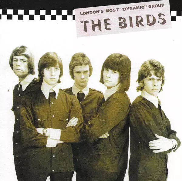 The Birds – The Collector's Guide To Rare British Birds  CD , Compilation