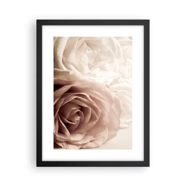 Affiche Poster 30x40cm Tableaux Image Photo Des Roses Fleurs Romantique Wall Art