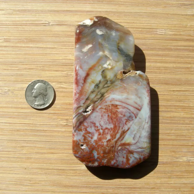 Plume Agate Crystal Polished Stone Slice Red & Gray Smoke Banding End Cut 4.75"