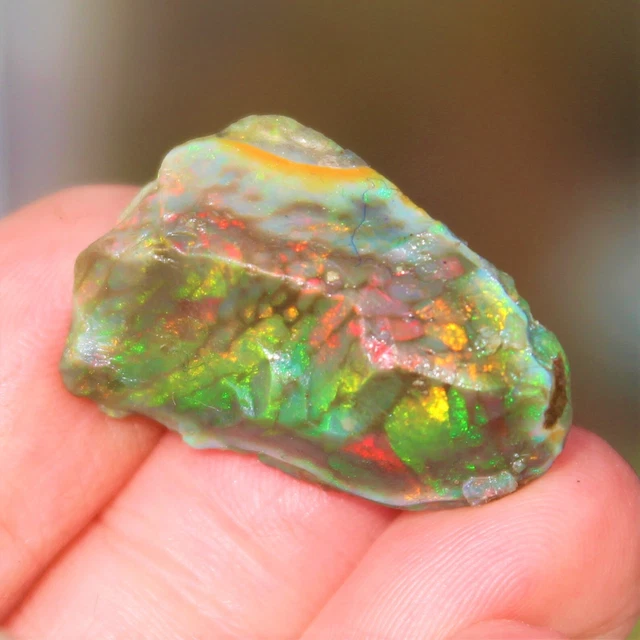 Opale de Feu Brute Multicolore d'Ethiopie de 22,585 ct