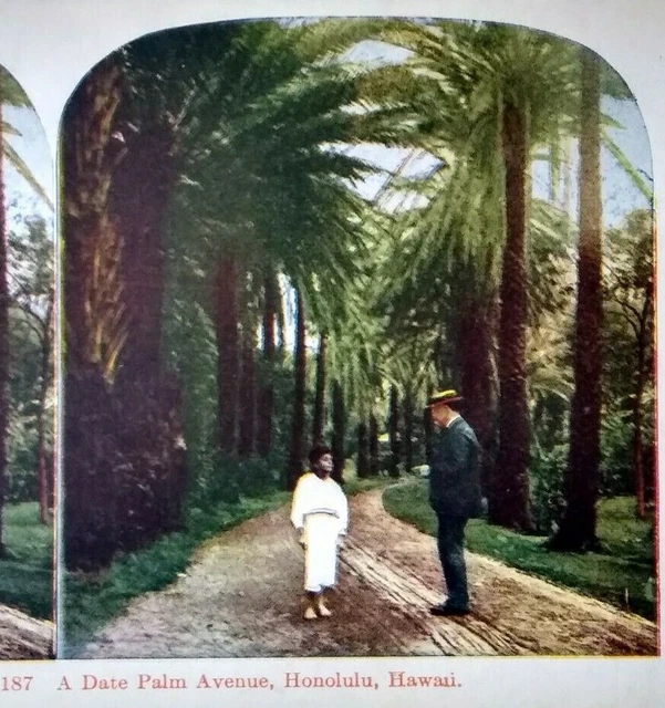1905 Hawaii Stereoview Photo Card Kawin 187 A Date Palm Avenue Honolulu