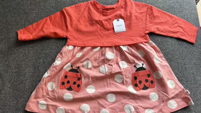 next baby girl dress 12-18 months