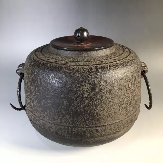 MOZUYAGAMA Chagama Japanese Cast Iron Tea Kettle Teapot Tea Ceremony H20cm A225